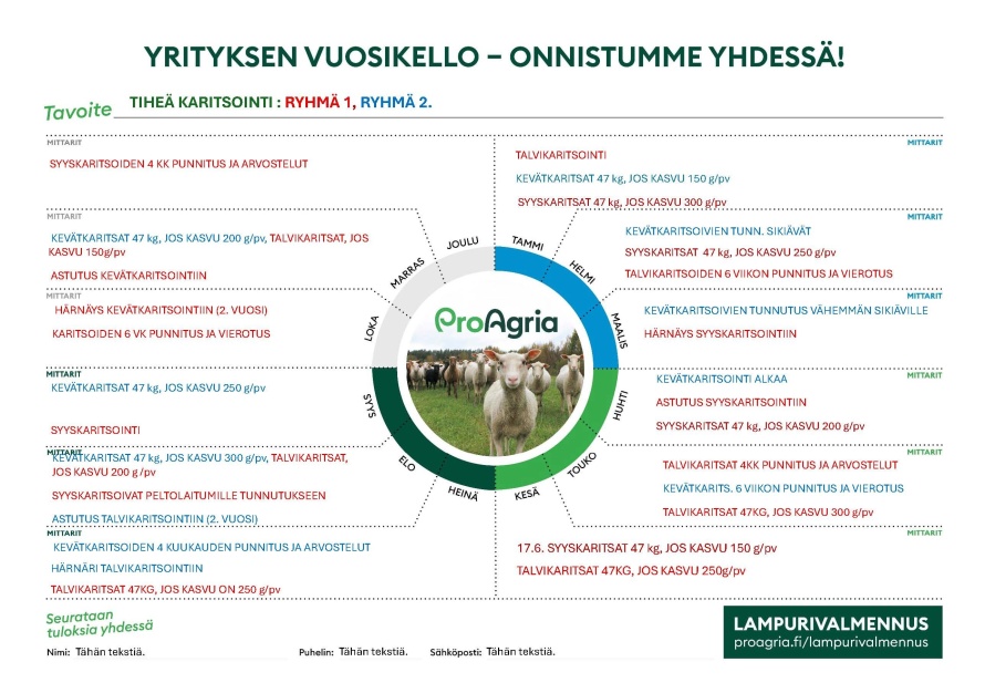 Esimerkkikuva tiheän karitsoinnin vuosikellosta: visuaalinen aikataulu, joka havainnollistaa talvi-, kevät- ja syyskaritsoinnin rytmiä vuoden aikana.